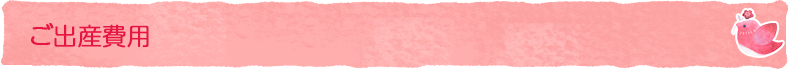 ご出産費用