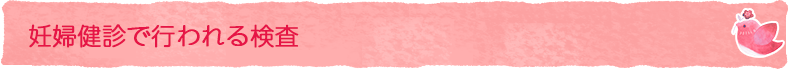 妊婦健診で行われる検査