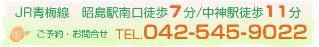 JR青梅線 昭島駅南口徒歩7分/中神駅徒歩11分 TEL:042-545-9022